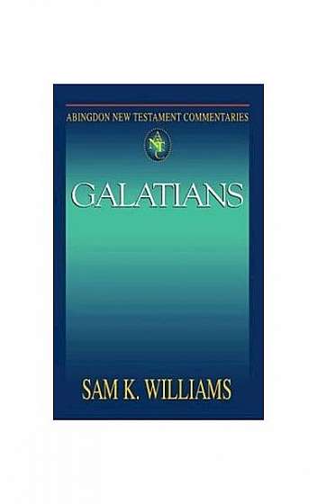Galatians (Abingdon New Testament Commentary)