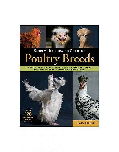 Storey's Illustrated Guide to Poultry Breeds