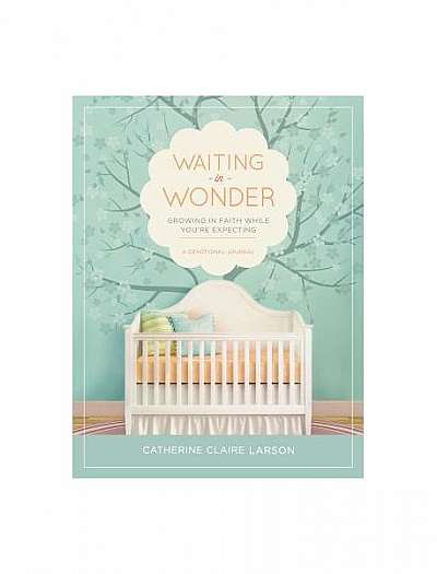 Waiting in Wonder: Growing in Faith While You're Expecting