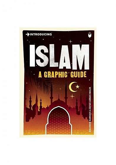 Introducing Islam: A Graphic Guide