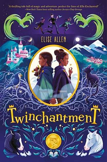Twinchantment, Book 1 Twinchantment