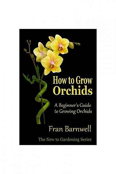 How to Grow Orchids: A Beginner's Guide to Growing Orchids