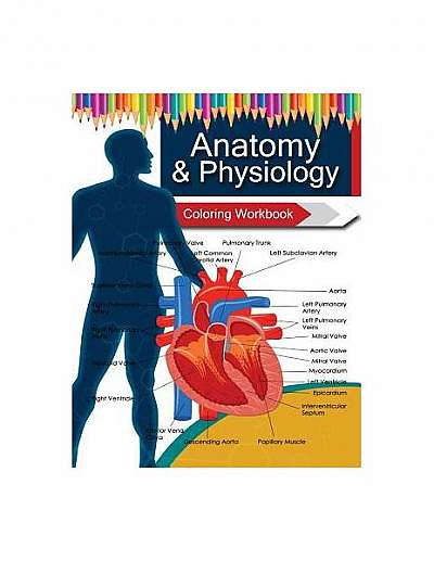 Anatomy & Physiology Coloring Workbook Books