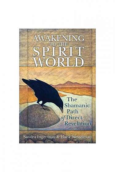 Awakening to the Spirit World: The Shamanic Path of Direct Revelation [With CDROM]