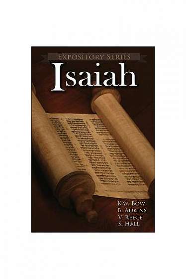 Isaiah: Literary Commentaries on the Book of Isaiah