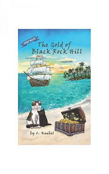 Coperta cărții The Gold of Black Rock Hill: Decodable Chapter Books for Kids with Dyslexia