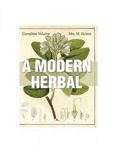 A Modern Herbal: The Complete Edition