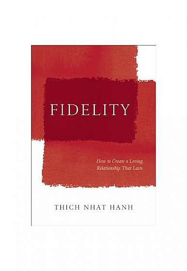 Fidelity: How to Create a Loving Relationship That Lasts