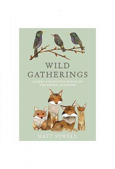 Wild Gatherings: Quirky Collective Nouns of the Animal Kingdom