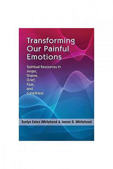 Coperta cărții Transforming Our Painful Emotions: Spiritual Resources in Anger, Shame, Grief, Fear and Loneliness