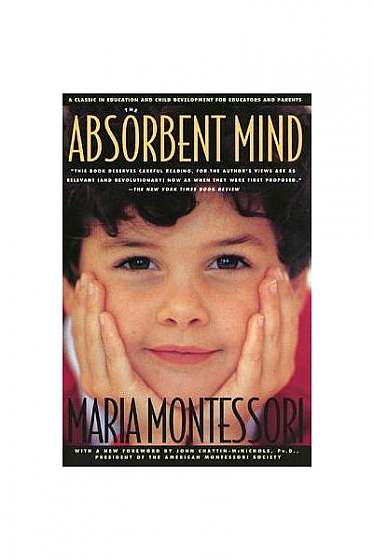 Coperta cărții Absorbent Mind