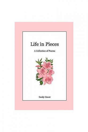 Life in Pieces