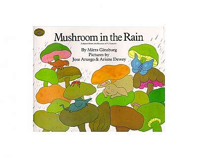 Mushroom in the Rain