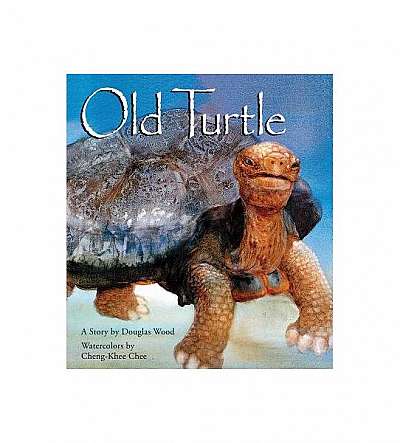 Old Turtle