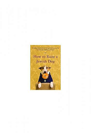 How to Raise a Jewish Dog