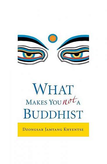 Coperta cărții What Makes You Not a Buddhist