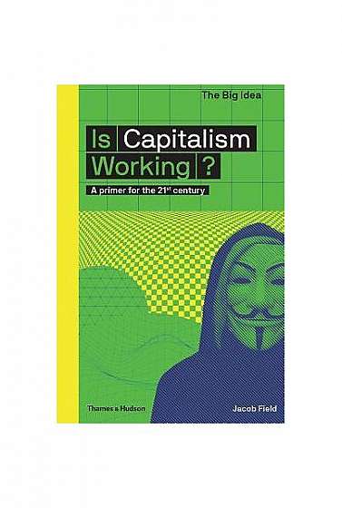 Is Capitalism Working?: A Primer for the 21st Century
