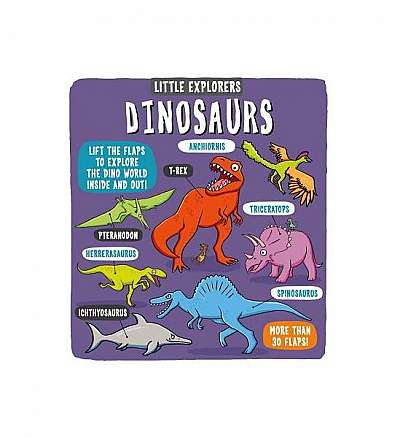 Coperta cărții Little Explorers: Dinosaurs