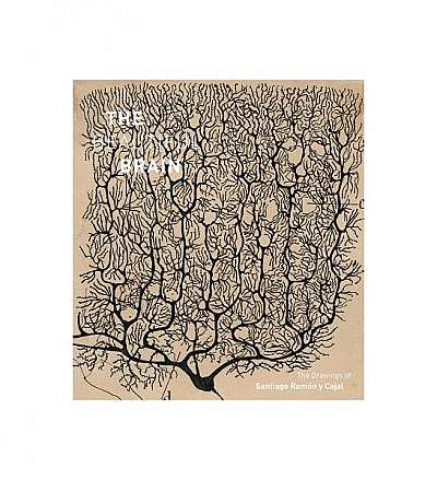 The Beautiful Brain: The Drawings of Ramon y Cajal