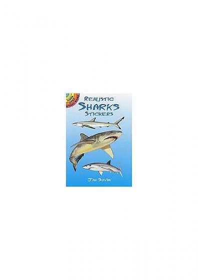 Coperta cărții Realistic Sharks Stickers