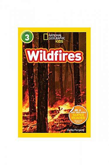 National Geographic Readers: Wildfires