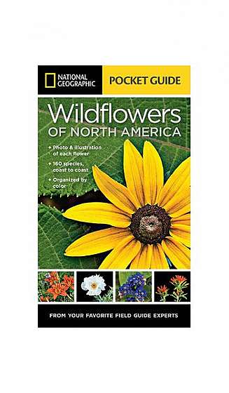 National Geographic Pocket Guide to Wildflowers of North America