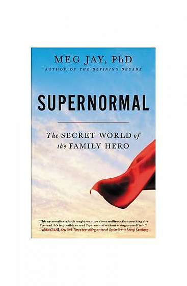 Supernormal: The Secret World of the Family Hero