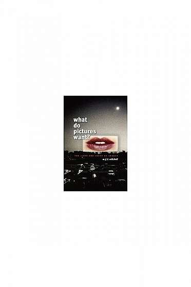 Coperta cărții What Do Pictures Want?: The Lives and Loves of Images