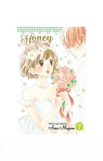 Honey So Sweet, Vol. 7
