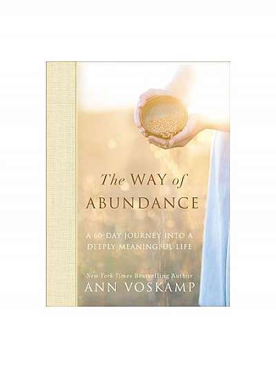 The Way of Abundance: A 60-Day Journey Into a Deeply Meaningful Life