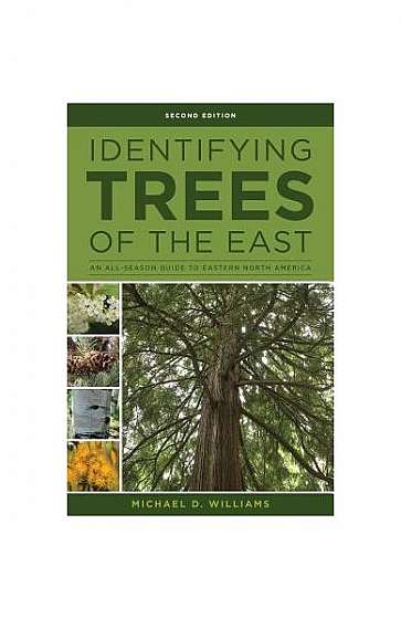 Identifying Trees: An All-Season Guide to Eastern North America