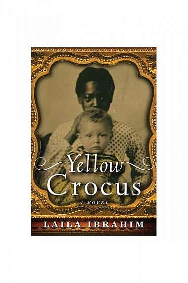 Coperta cărții Yellow Crocus