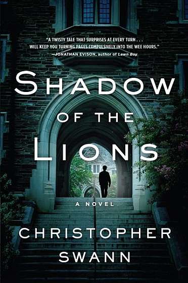 Shadow of the Lions