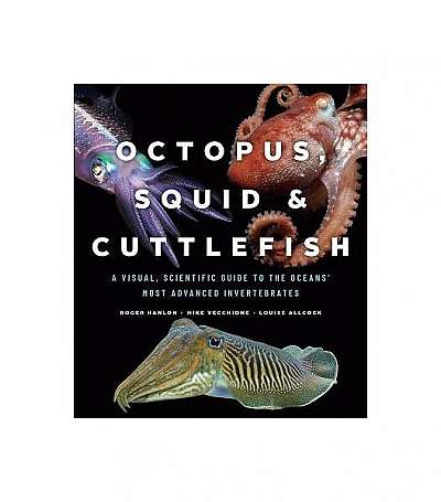Octopus, Squid, and Cuttlefish: A Visual, Scientific Guide to the Oceans' Most Advanced Invertebrates