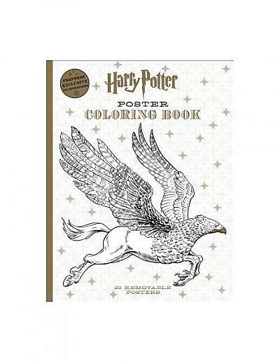 Harry Potter Poster Coloring Book