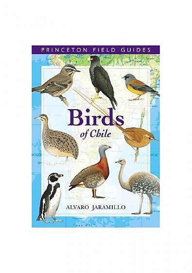 Birds of Chile