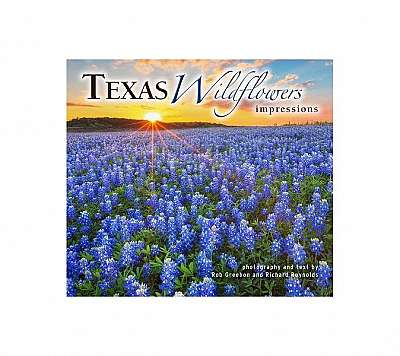Texas Wildflowers Impressions
