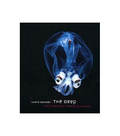 The Deep: The Extraordinary Creatures of the Abyss
