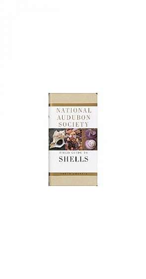 National Audubon Society Field Guide to North American Seashells