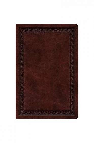 Value Compact Bible-ESV-Border Design