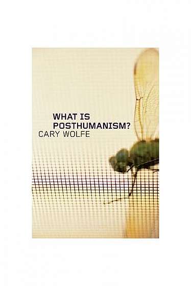 What Is Posthumanism?