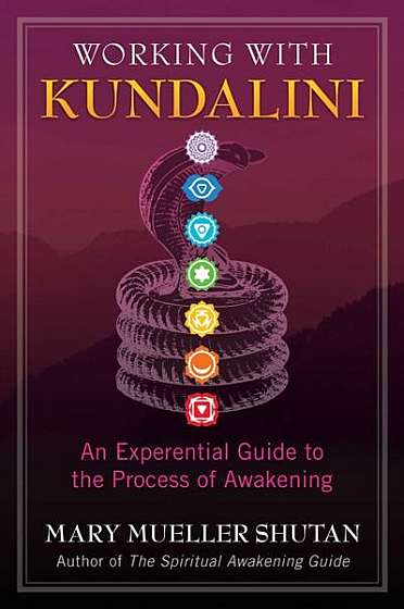 Working with Kundalini: An Experiential Guide to the Process of Awakening