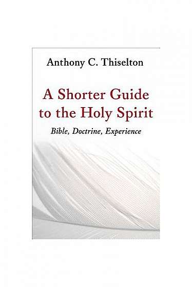 A Shorter Guide to the Holy Spirit: Bible, Doctrine, Experience