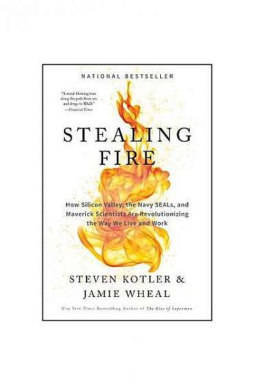 Stealing Fire: How Silicon Valley, the Navy Seals, and Maverick Scientists Are Revolutionizing the Way We Live and Work