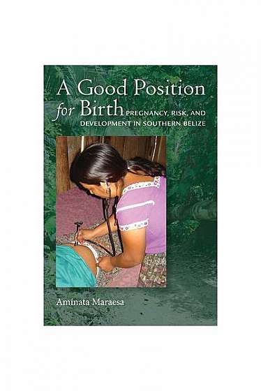 A Good Position for Birth: Pregnancy, Risk, and Development in Southern Belize