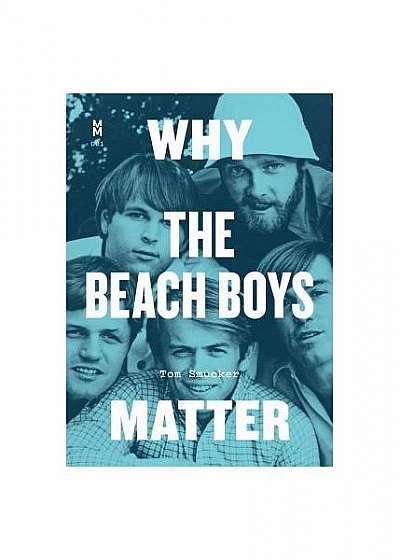 Why the Beach Boys Matter