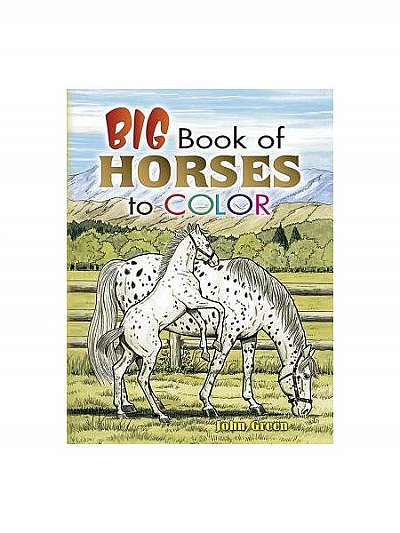 Big Book of Horses to Color