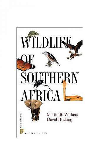 Wildlife of Southern Africa