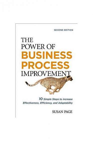The Power of Business Process Improvement: 10 Simple Steps to Increase Effectiveness, Efficiency, and Adaptability
