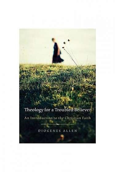 Theology for a Troubled Believer: An Introduction to the Christian Faith